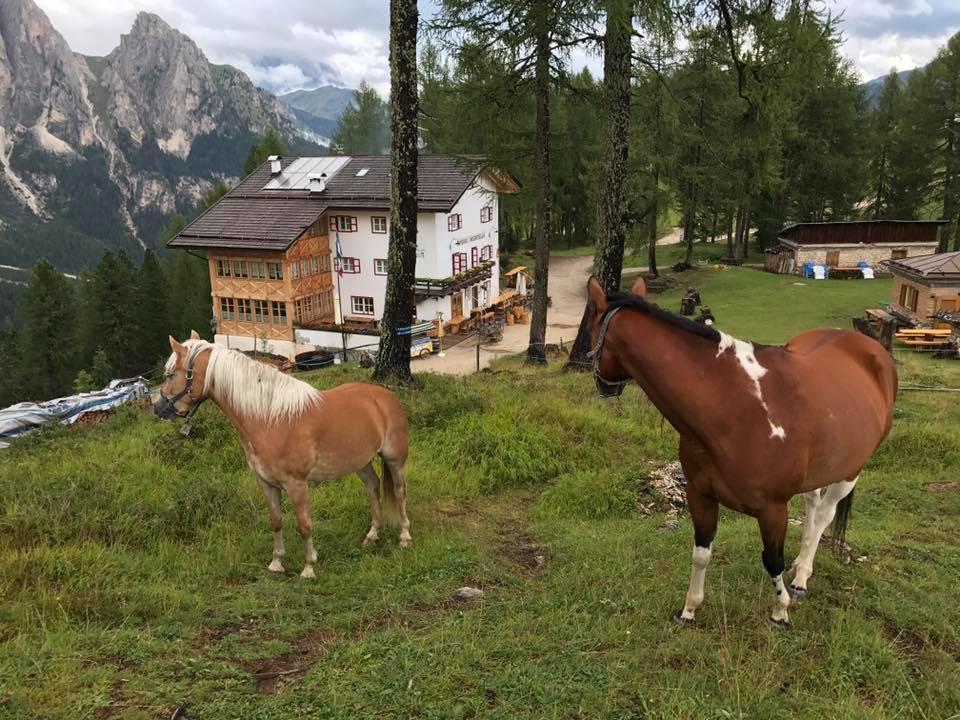 Rifugio Negritella Hotel Pozza di Fassa Zewnętrze zdjęcie
